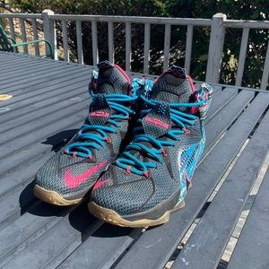 Nike Lebron 12 "Chromosomes" Size 10